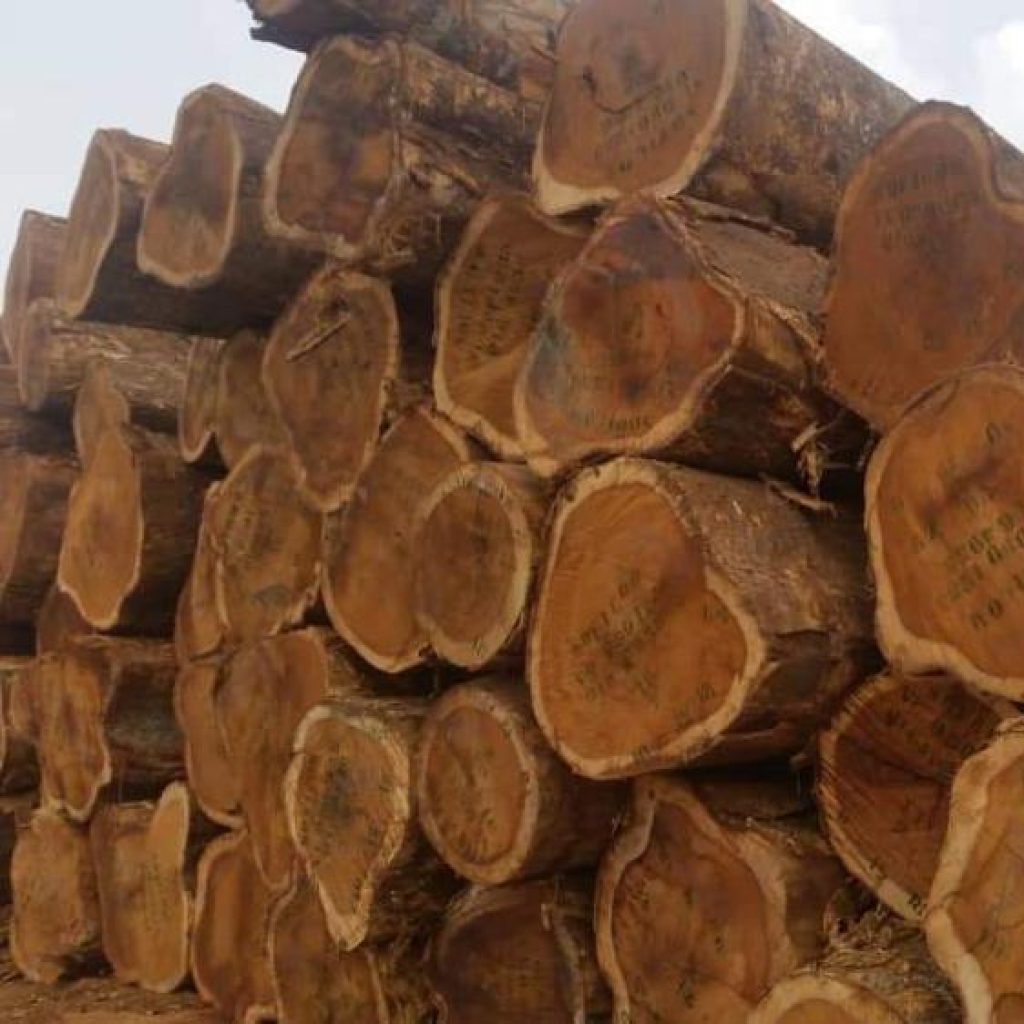 Standard-logs-Premium-quality-logs-African-Hardwood Standard-logs-Premium-quality-logs-African-Hardwood